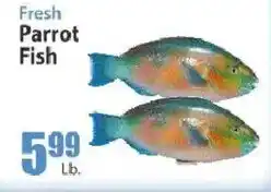 Key Food Fresh Parrot Fish offer