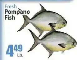 Key Food Fresh Pompano Fish offer