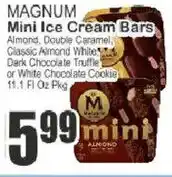 Key Food Magnum mini ice cream bars offer