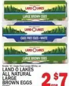 C Town Land o lakes all natural large brown eggs offer