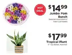 ShopRite Jumbo Pom Bunch offer