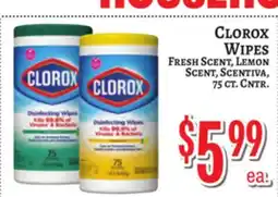 Trade Fair Supermarket CLOROX WIPES offer