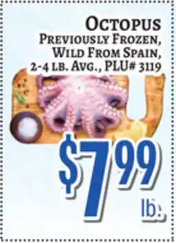 Trade Fair Supermarket OCTOPUS offer