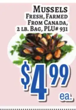 Trade Fair Supermarket MUSSELS offer