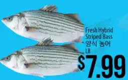 Hmart Fresh Hybrid Striped Bass offer