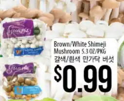 Hmart Brown/White Shimeji Mushroom offer