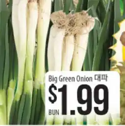 Hmart Big Green Onion offer