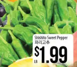 Hmart Shishito Sweet Pepper offer