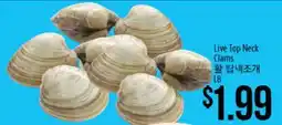 Hmart Live Top Neck Clams offer