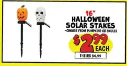 Ollie's 16 HALLOWEEN SOLAR STAKES offer