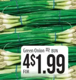 Hmart Green Onion offer