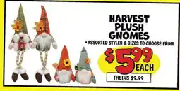 Ollie's HARVEST PLUSH GNOMES offer