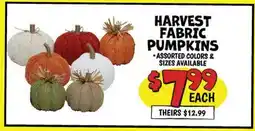 Ollie's HARVEST FABRIC PUMPKINS offer