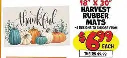 Ollie's 18 X 30 HARVEST RUBBER MATS offer
