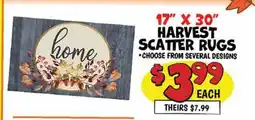 Ollie's 17 X 30 HARVEST SCATTER RUGS offer