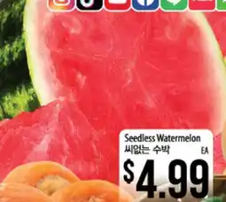 Hmart Seedless Watermelon offer