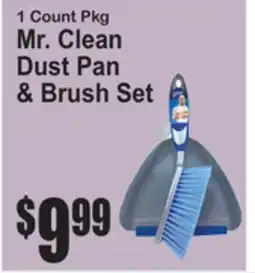 SuperFresh Mr. Clean Dust Pan & Brush Set offer