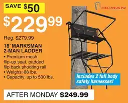 Dunham's Sports 18' MARKSMAN 2-MAN LADDER offer