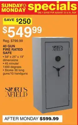 Dunham's Sports 40 GUN RATED SAFE offer
