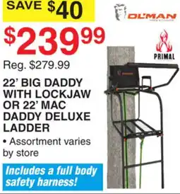 Dunham's Sports 22' BIG DADDY WITH LOCKJAW OR 22' MAC DADDY DELUXE LADDER offer
