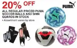Dunham's Sports Puma Soccer Balls and Shin Guards offer