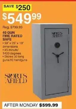 Dunham's Sports Sports Afield 40 gun fire rated safe offer
