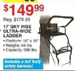 Dunham's Sports 17' sky rise ultra-wide ladder offer