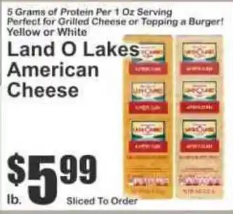 Land O Lakes American Cheese
