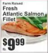 Key Food Farm Raised Fresh Atlantic Salmon Fillet offer