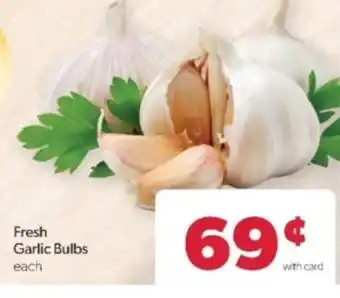Fresh Garlic Bulbs