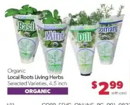 Family Fare Local Roots Living Herbs offer