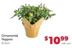 Family Fare Ornamental Peppers offer