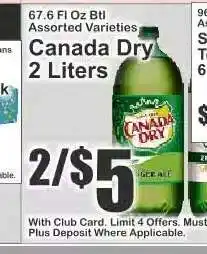 Key Food Canada Dry offer