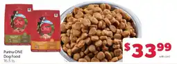 Family Fare Purina ONE Dog Food offer