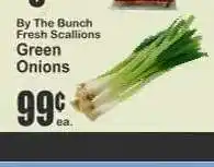 Key Food Green Onions offer
