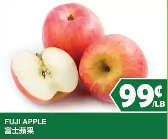 Fuji Apple