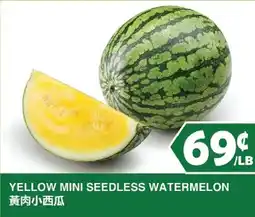 99 Ranch Yellow Mini Seedless Watermelon offer