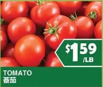 Tomato