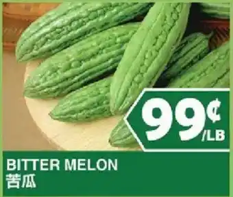 Bitter Melon