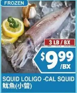 99 Ranch Squid Loligo - Cal Squid offer