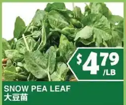 99 Ranch Snow Pea Leaf offer