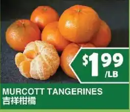 99 Ranch Murcott Tangerines offer