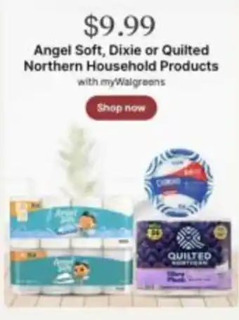 Walgreens Angel Soft, Dixie or Quilted Northern Household Products offer