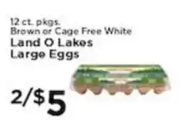 Pioneer Supermarkets Land O Lakes Large Eggs offer
