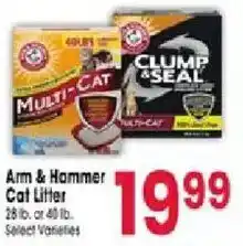 Jewel-Osco Arm & Hammer Cat Litter offer