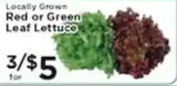 Pioneer Supermarkets Locally Grown Red or Green Leaf Lettuce offer