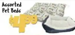 Big Lots Assorted Pet Beds offer