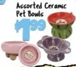 Big Lots Assorted Ceramic Pet Bowls offer