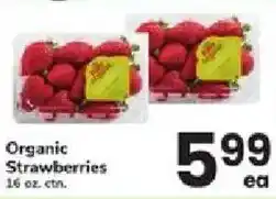 ACME Organic Strawberries offer