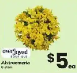 ACME Overjoyed Boutique Alstroemeria offer